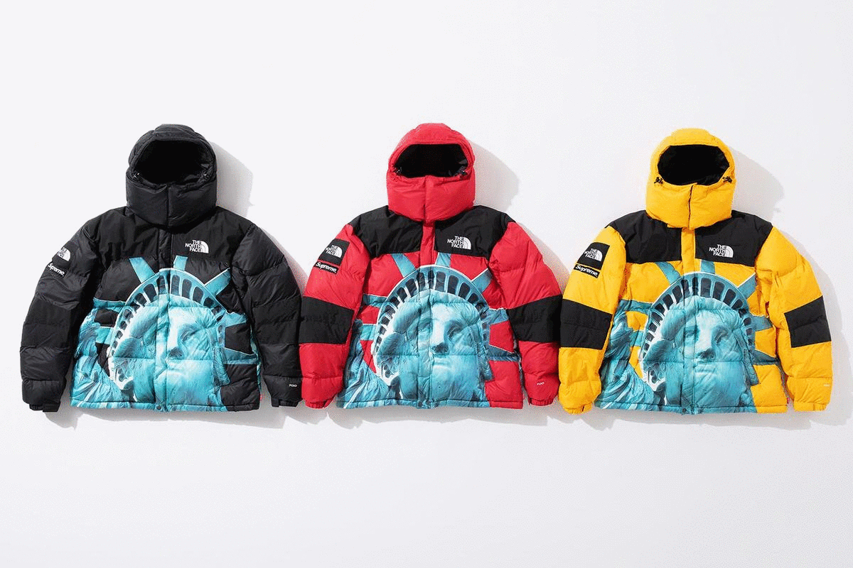 the north face by supreme