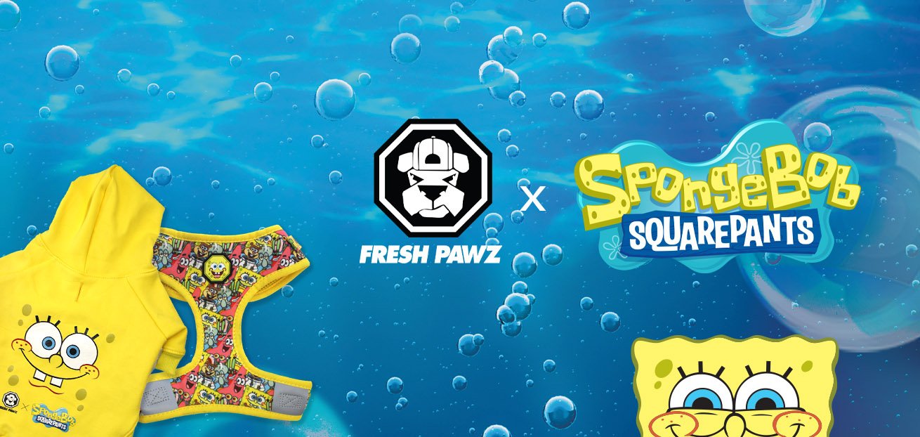 spongebob-fresh-pawz-dog