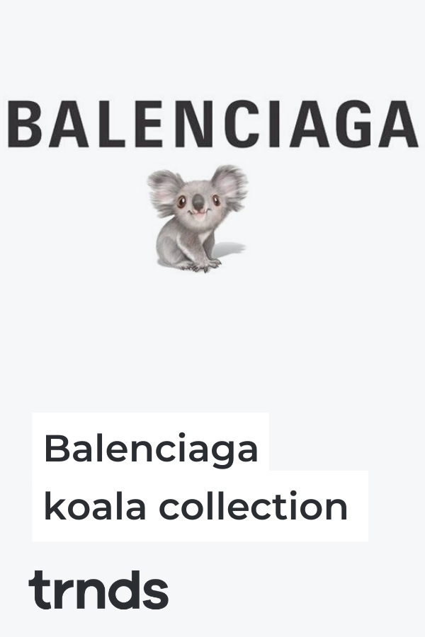 balenciaga-koala