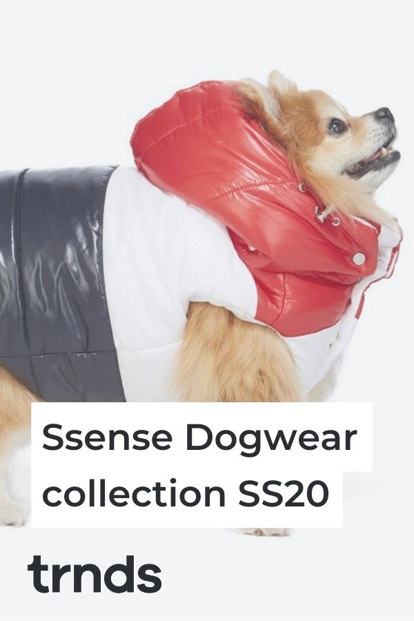 ssense-dog-collection-2020