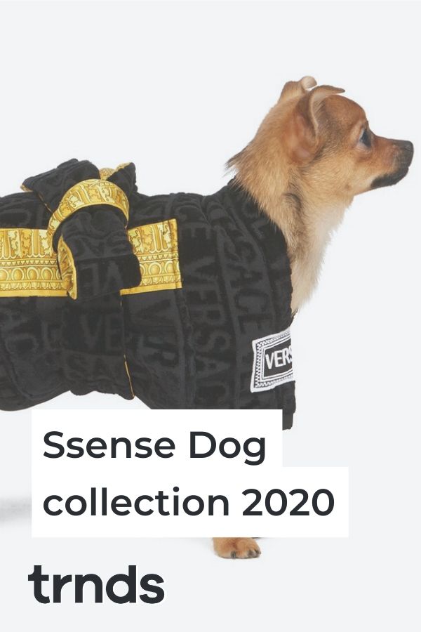 ssense-dogwear-collection-2020