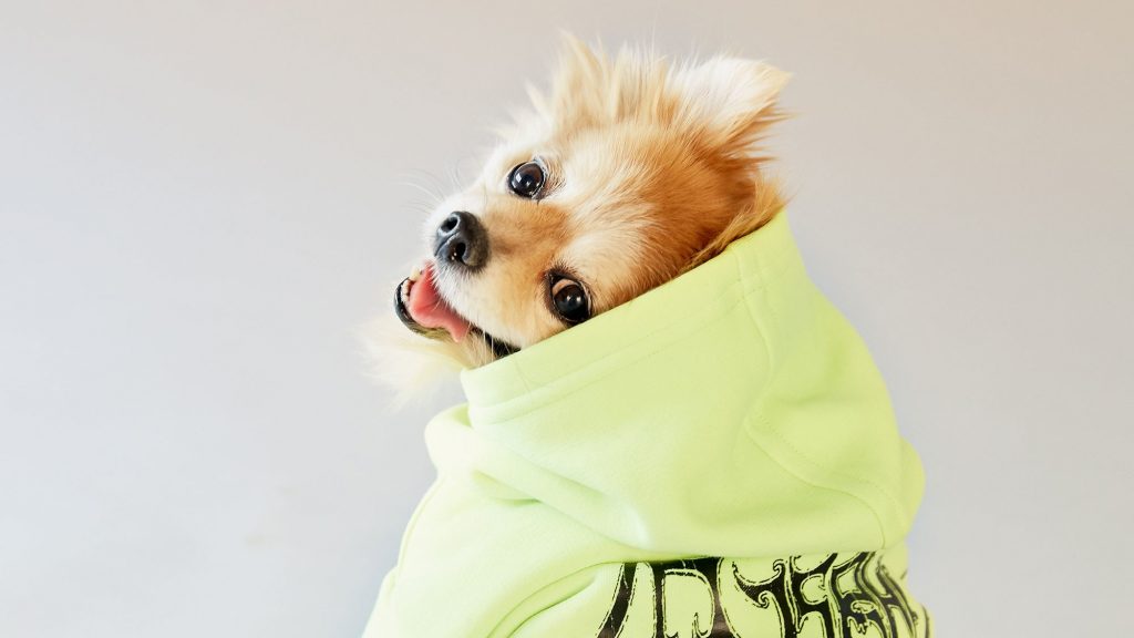 ssense-dogwear-collection-2020